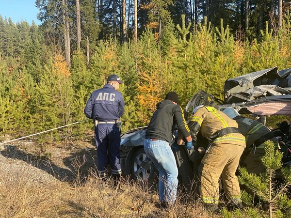 Легковушка и грузовик столкнулись на дороге в Свердловской области: два человека погибли - «ДТП»